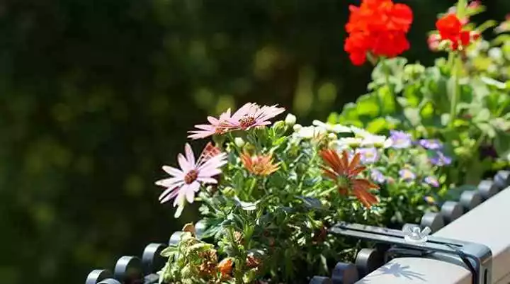 8 Stunning and Functional Railing Planters for Your Home