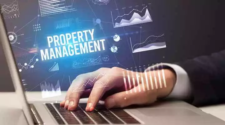 How Do Property Management Companies Actually Work in Practice